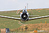 IMG_4335m_800_copy.jpg