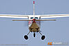 IMG_4355m_8002.jpg