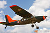 IMG_4402M_800_copy.jpg