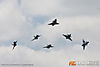 IMG_4407m_800_copy.jpg