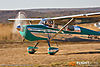 IMG_4411m_800_copy.jpg