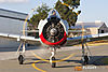 IMG_4414M_800.jpg