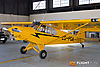 IMG_4469m_800_copy.jpg