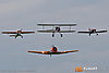 IMG_4507m_800_copy.jpg