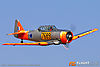 IMG_4516m_800.jpg