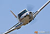 IMG_4519m_800.jpg