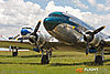 IMG_4614M_800_copy1.jpg
