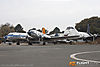 IMG_4663m_800.jpg