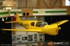 IMG_4811m_800_copy.jpg