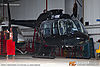 IMG_4828m_800.jpg