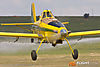IMG_4831m_800_copy.jpg