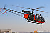 IMG_4874m_8001.jpg