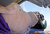 IMG_4991m_800.jpg