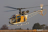 IMG_5019m_800.jpg