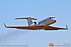 IMG_5036m_800.jpg