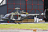 IMG_5120m_8002.jpg