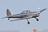 IMG_5151m_800.jpg