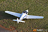 IMG_5170m_800_copy.jpg