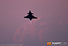 IMG_5230M_800_copy.jpg