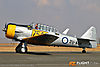 IMG_5260m_800.jpg