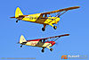 IMG_5314m_8001.jpg