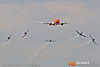 IMG_5526m_800.jpg