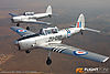 IMG_5543M_800_copy.jpg