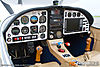 IMG_5555m_800_copy.jpg