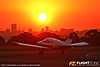 IMG_5596m_800.jpg