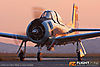 IMG_5682m_800_copy.jpg