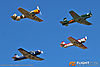 IMG_5698M_800.jpg