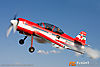 IMG_5802m_800_copy1.jpg