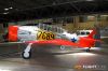 IMG_5832M_800_copy.jpg