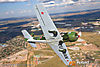IMG_5862M_800M2_copy.jpg