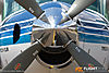 IMG_5882m_800_copy.jpg