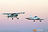 IMG_5886m_800.jpg