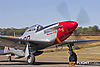 IMG_6041m_800.jpg