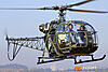 IMG_6065M_8001.jpg