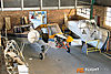 IMG_6078m_800.jpg