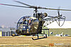 IMG_6084M_8001.jpg