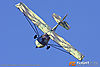 IMG_6093m_800.jpg