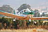 IMG_6120M_800.jpg
