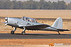 IMG_6125m_800_copy.jpg