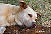 IMG_6143M_800.jpg