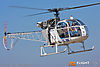 IMG_6154M_800_copy.jpg
