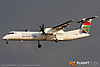 IMG_6228m_8003.jpg