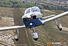 IMG_6288m_8002.jpg