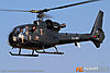 IMG_6297M_800.jpg