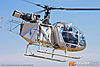 IMG_6306m_800_copy.jpg