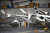 IMG_6316M_8003.jpg